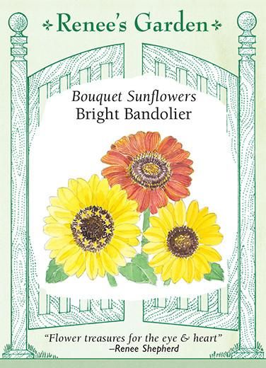 RG Sunflower Bright Bandolier 